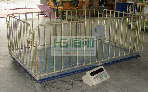 活畜專用地磅秤