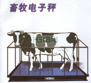 稱家禽秤